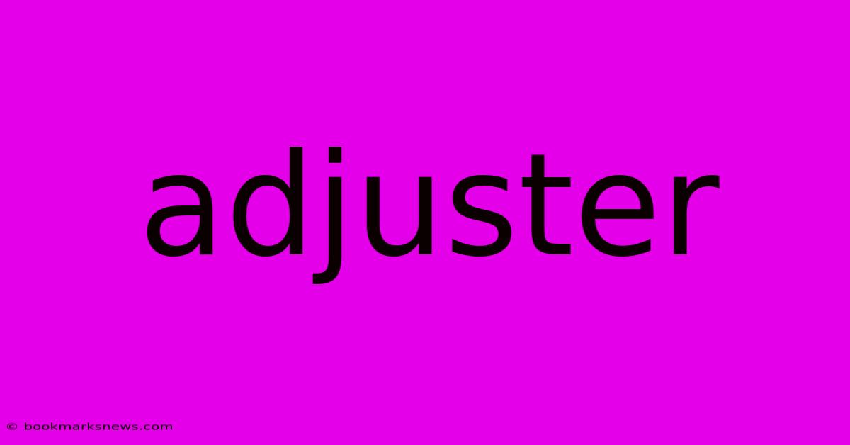 Adjuster