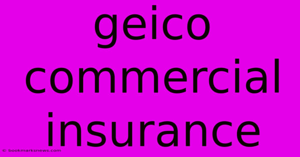 Geico Commercial Insurance