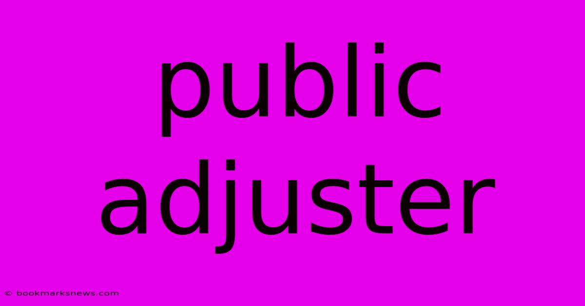 Public Adjuster